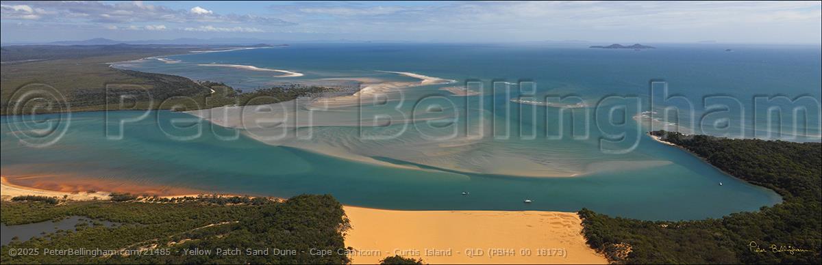 Peter Bellingham Photography Yellow Patch Sand Dune - Cape Capricorn - Curtis Island - QLD (PBH4 00 18173)